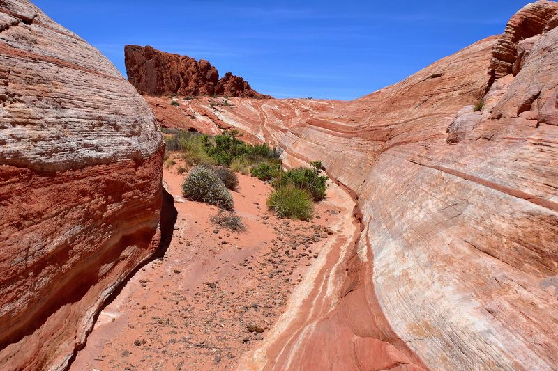 пейзаж, природа, путешествие долина Огня фото превью