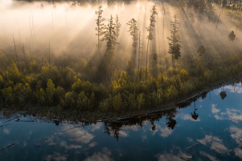 Туманный рассвет на Богучанском водохранилище фото превью