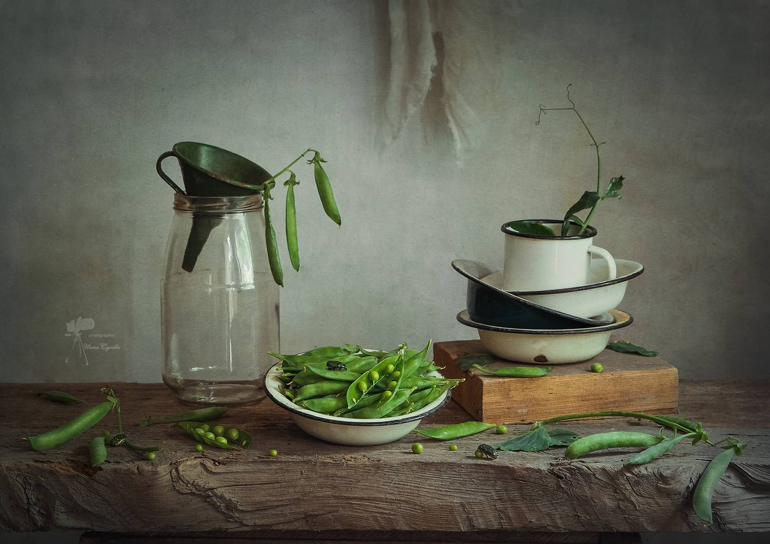 , Инна Сухова