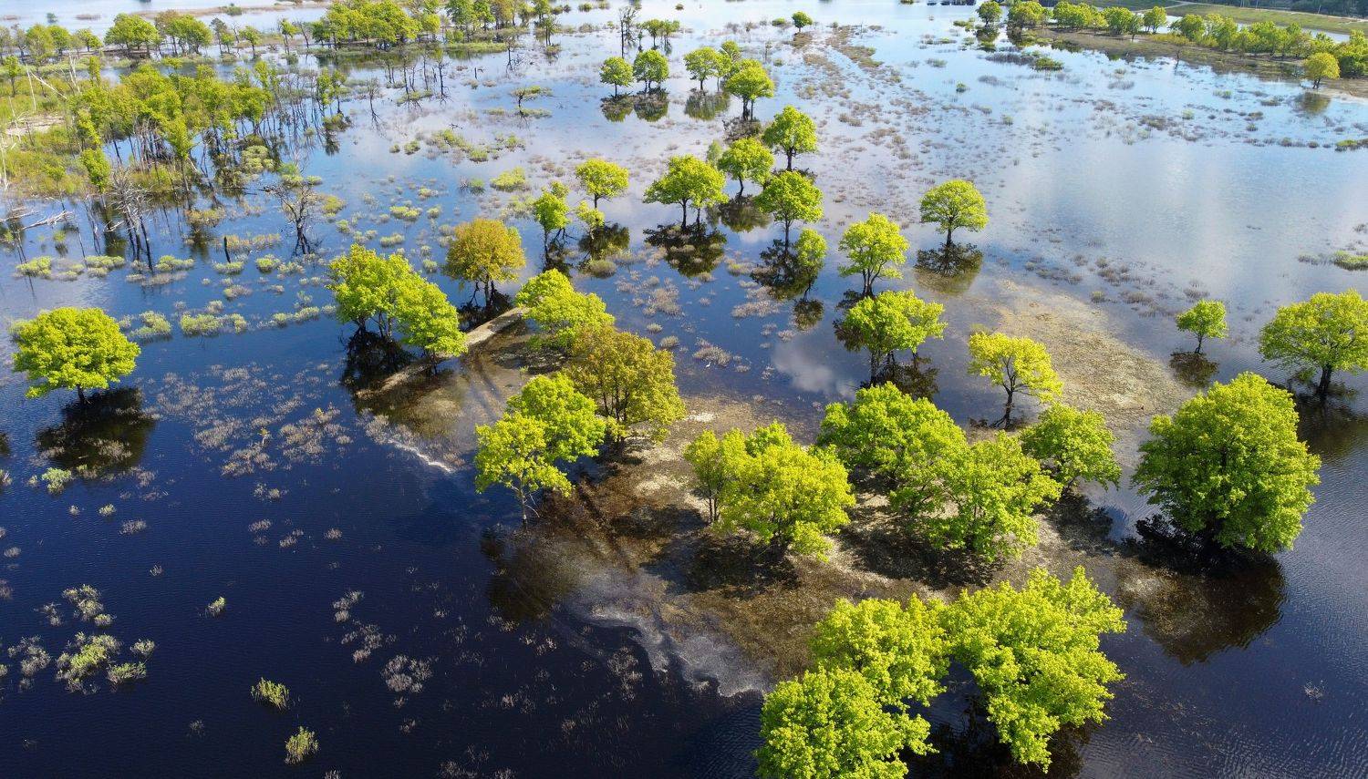 , Сергей Шляга