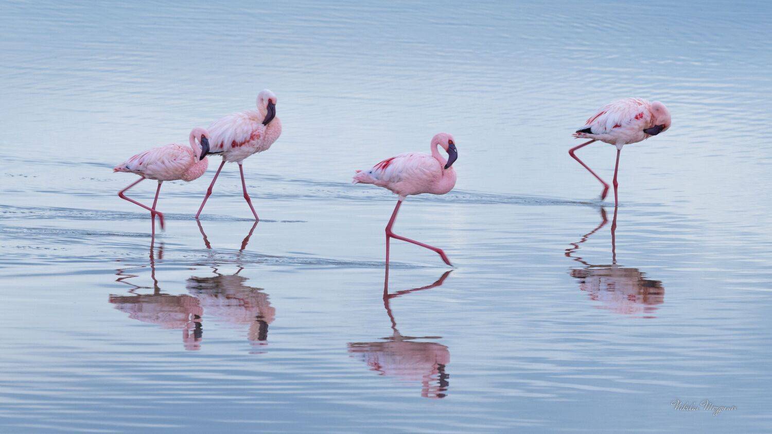 , Николай Мозгунов