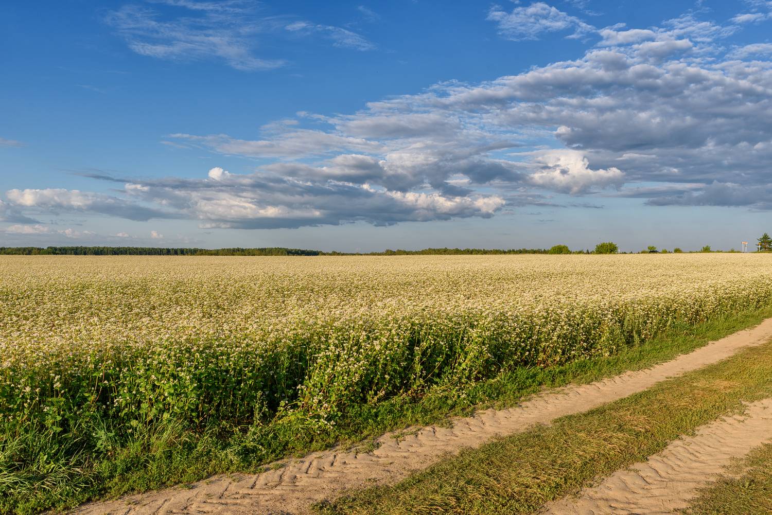 , Нуждин Андрей