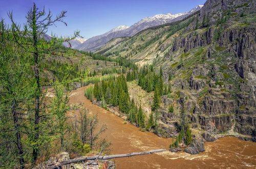 Ущелье реки Аргут...