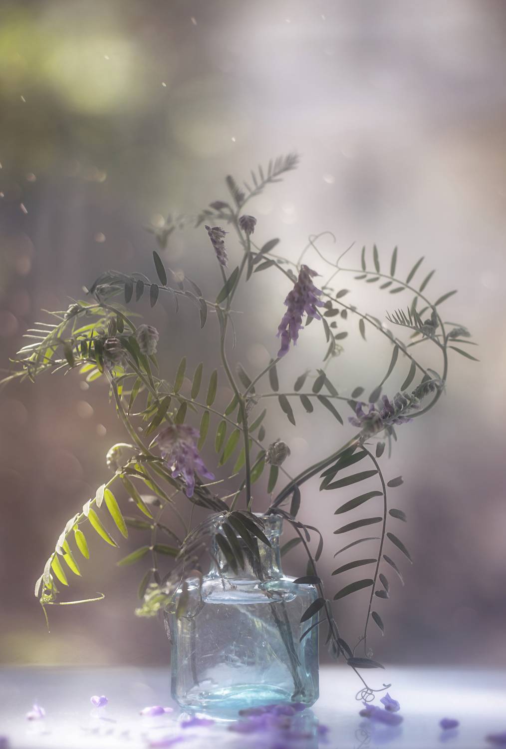 , Мария Обидина