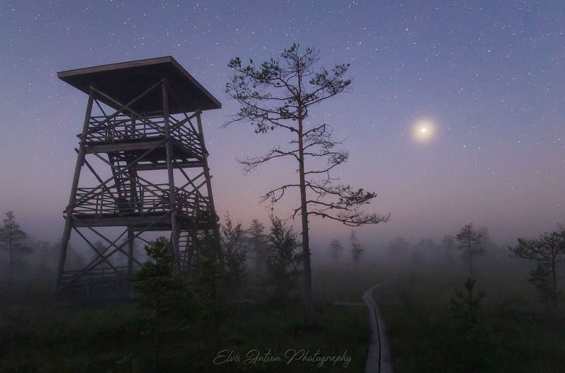 ночь, пейзаж, природа, болото, эстония Ночью по болотным тропинкам фото превью