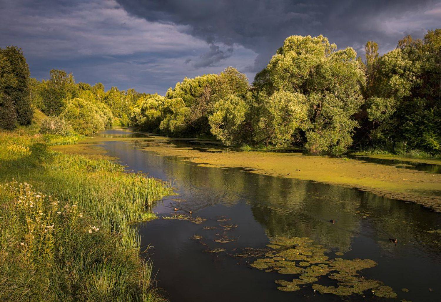 , Евгений Ерохин