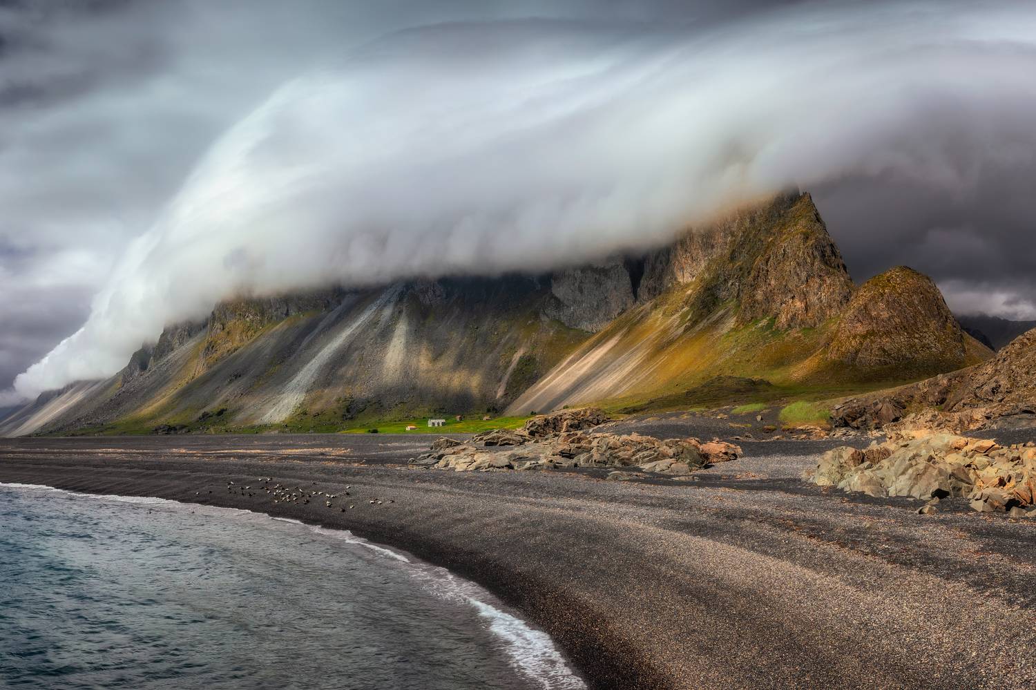 , Momchilov Lyubomir