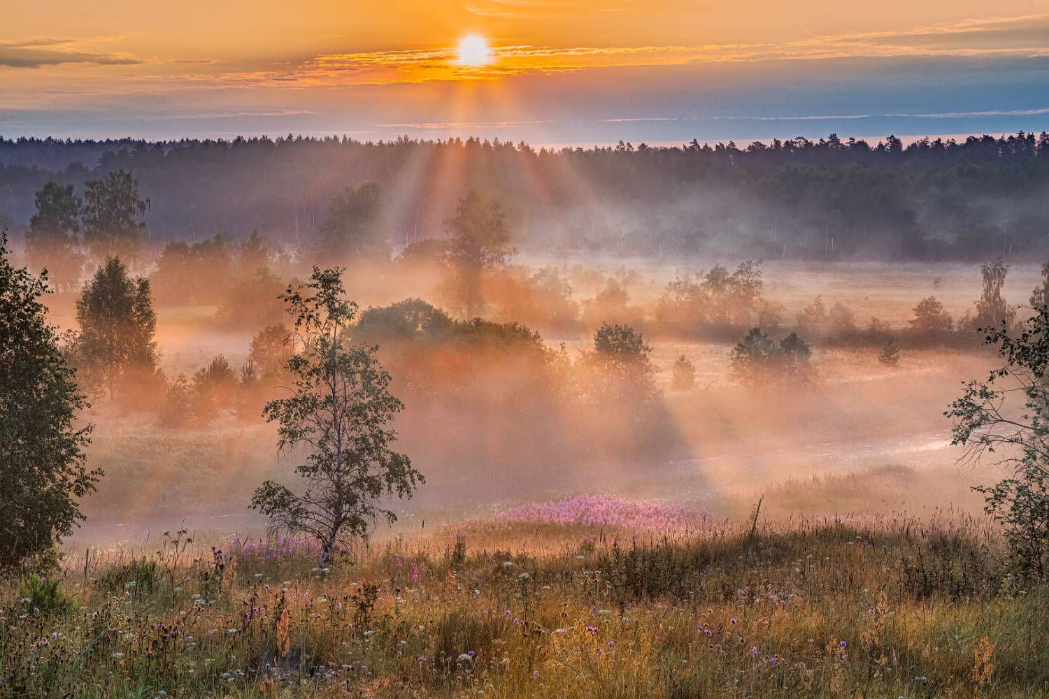 , Евгений Ерохин