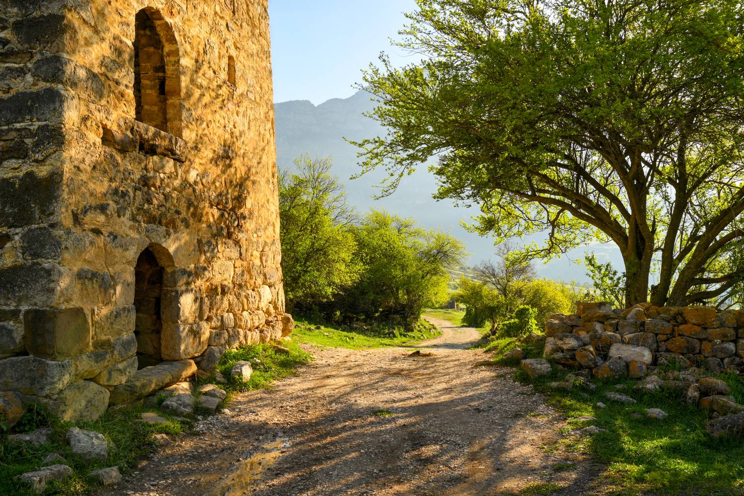 , Лесина Елена