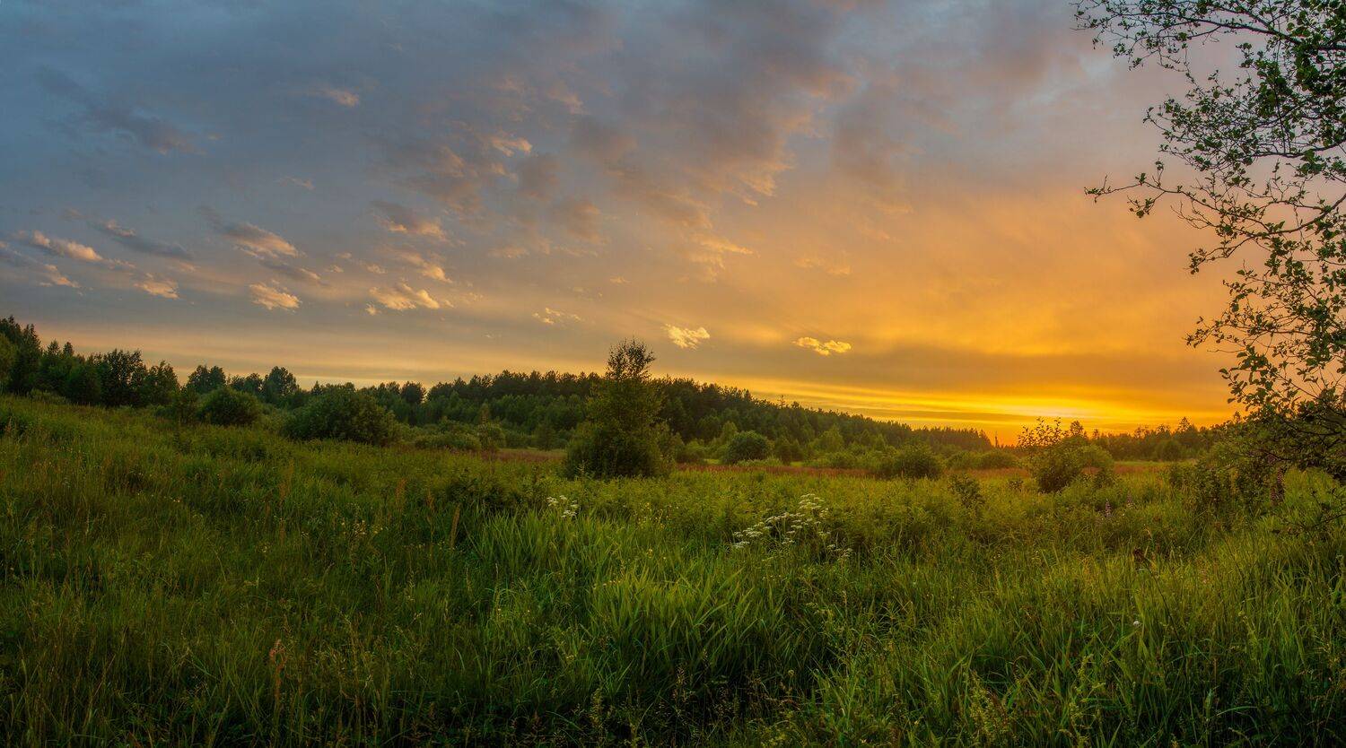 , Николай Колобов