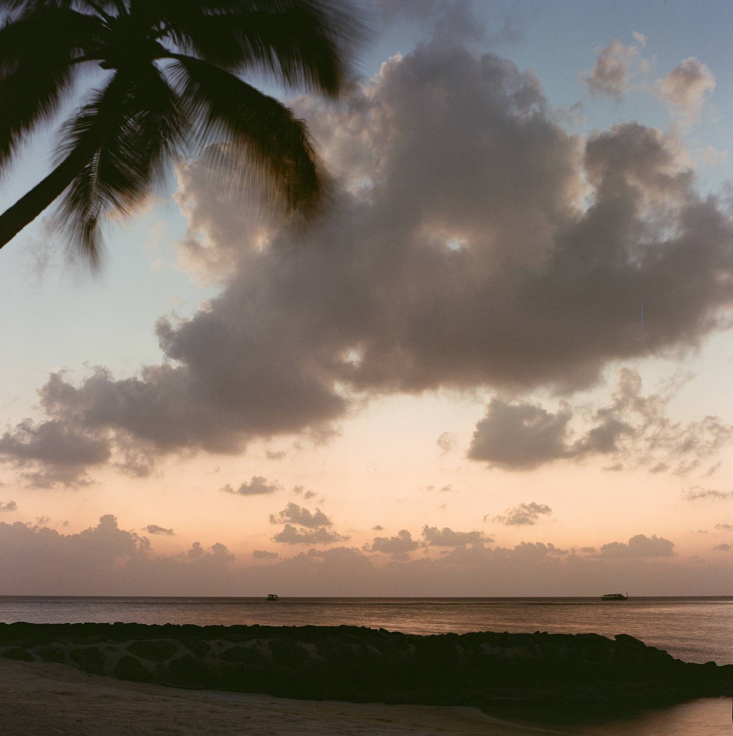 bronica sq-a, bronica, sq-a, zenzabronica, film, analog, аналоговая фотография, пленка, medium format, m-format, middle, 120 film, 6x6, 120mm, средний формат, delight art 100, landscape, пейзаж, природа, maldives, мальдивы,, Попов Алексей