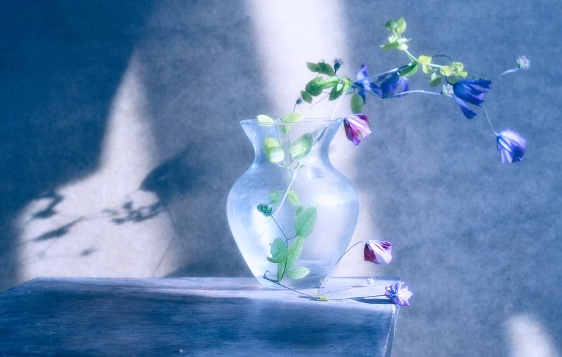 *** фото превью