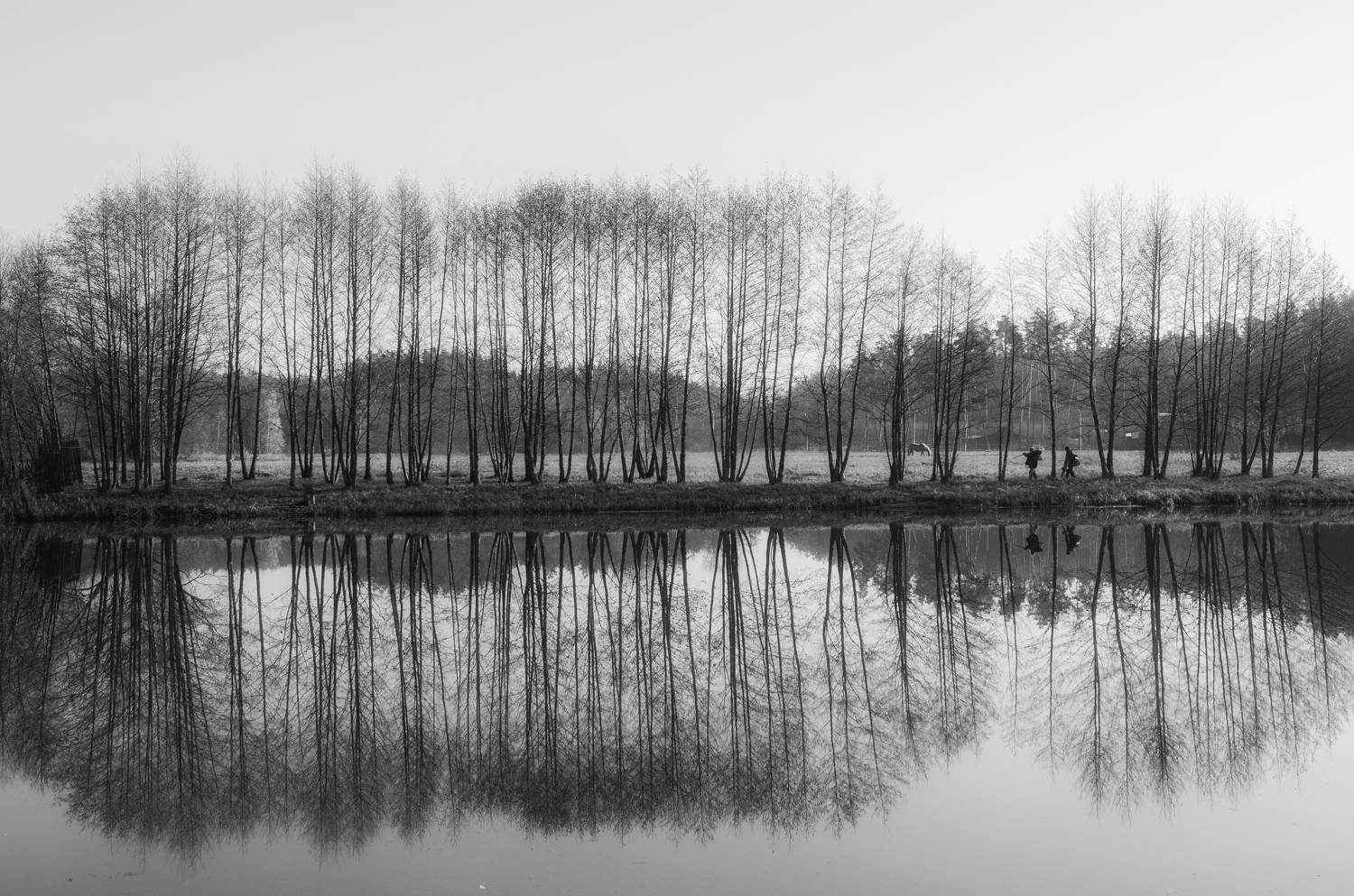 , Гайдук Евгений