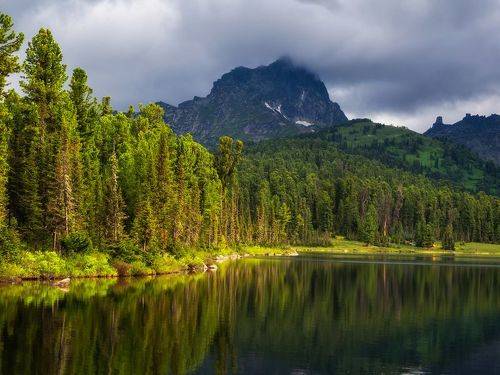 Тайга в ярких вечерних лучах солнца. 