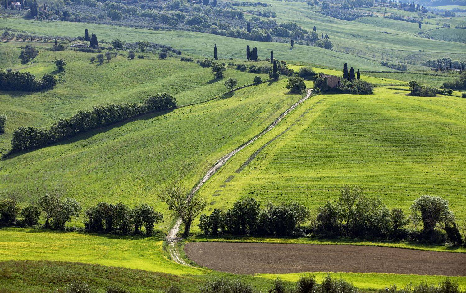 , Валентина Булкина