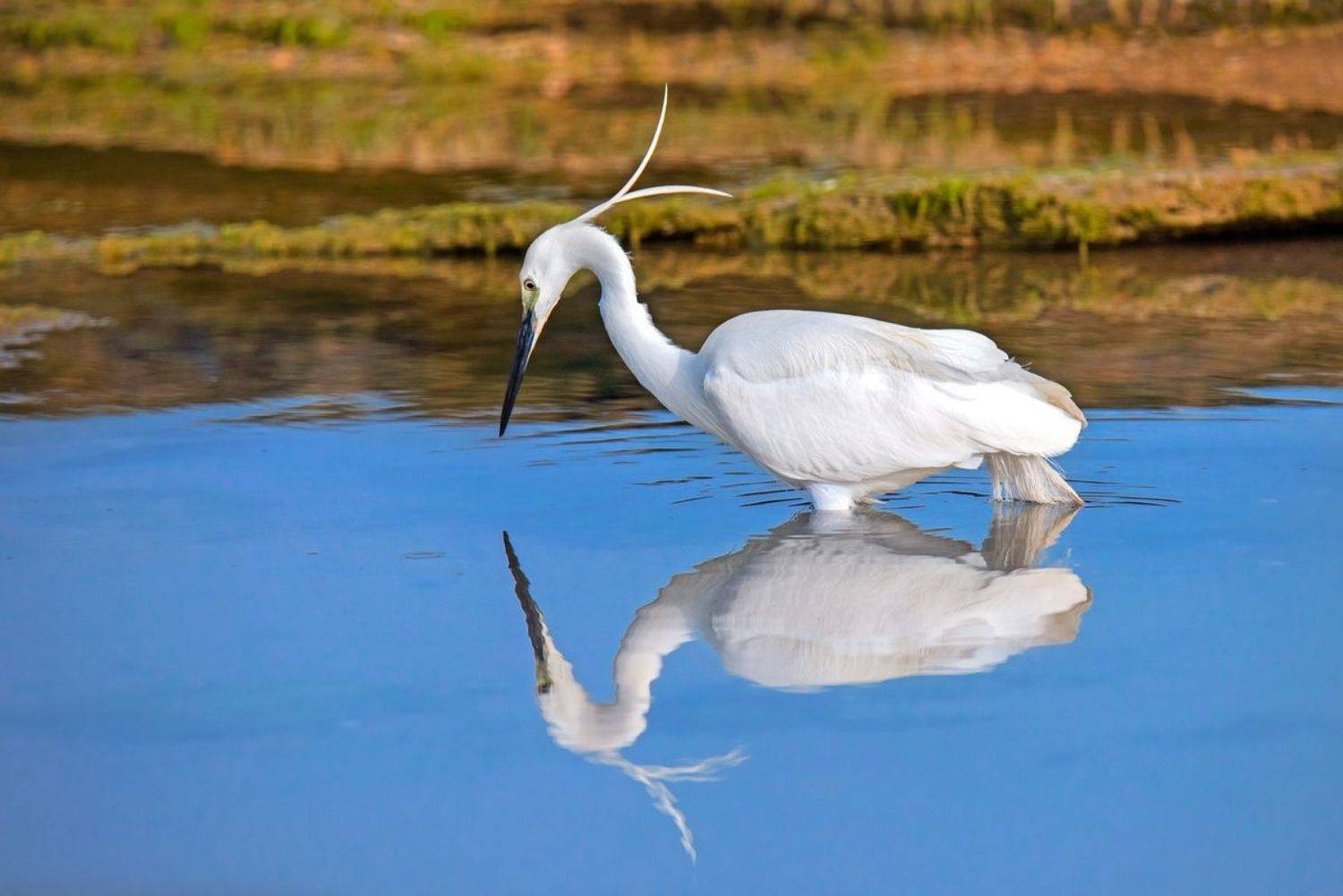 , Людмила Бекман