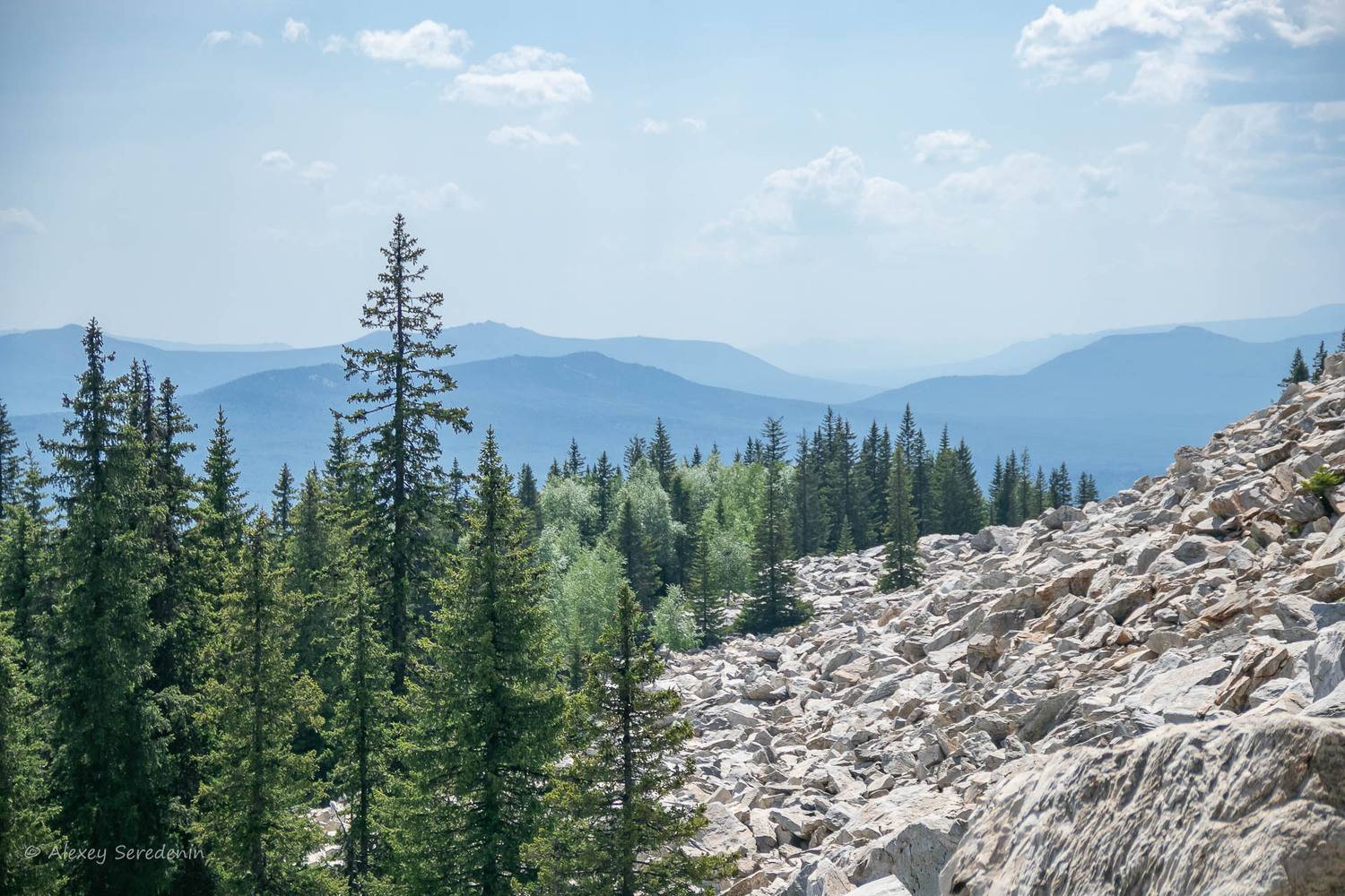 , Алексей Середенин