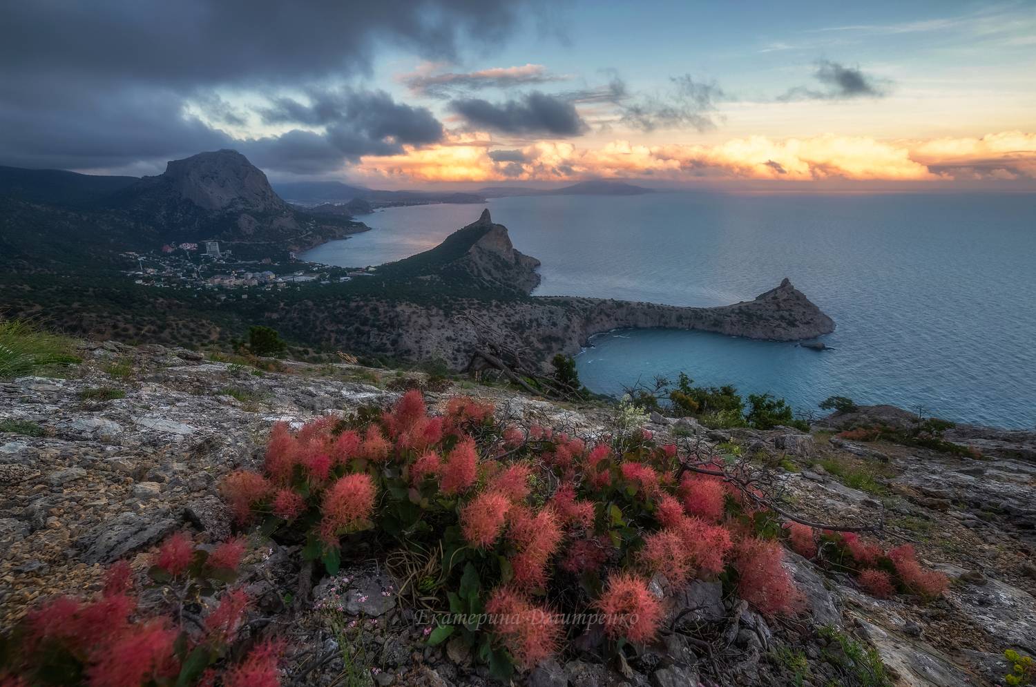 крым, вечер, пейзаж, новый свет, судак, закат, лето, crimea, landscape, sea, скумпия, Дмитренко Екатерина