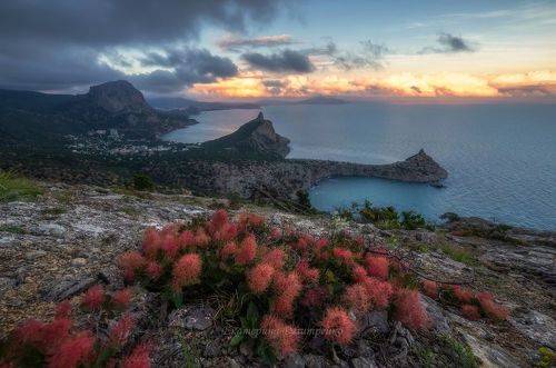 Вечерний Новый Свет