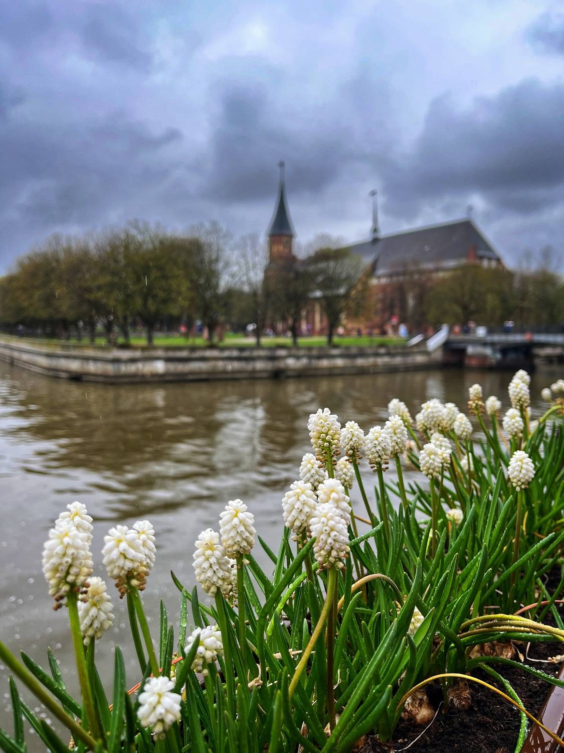, Бравичева Анастасия