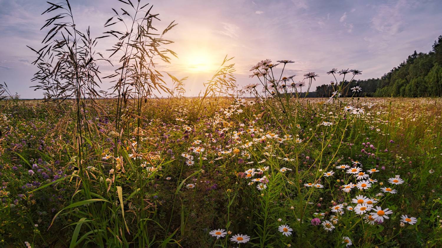, Евгений Ерохин