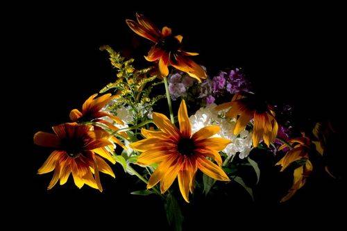 Ночной букет