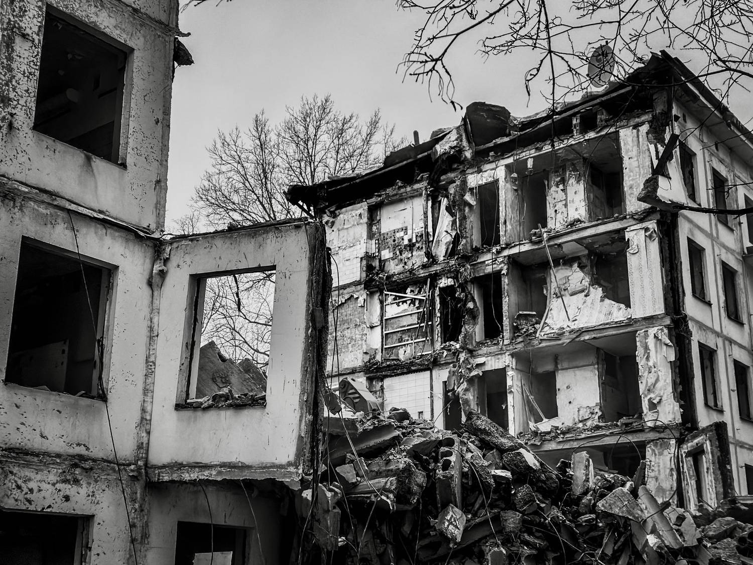 , Dmitry V. Petrenko