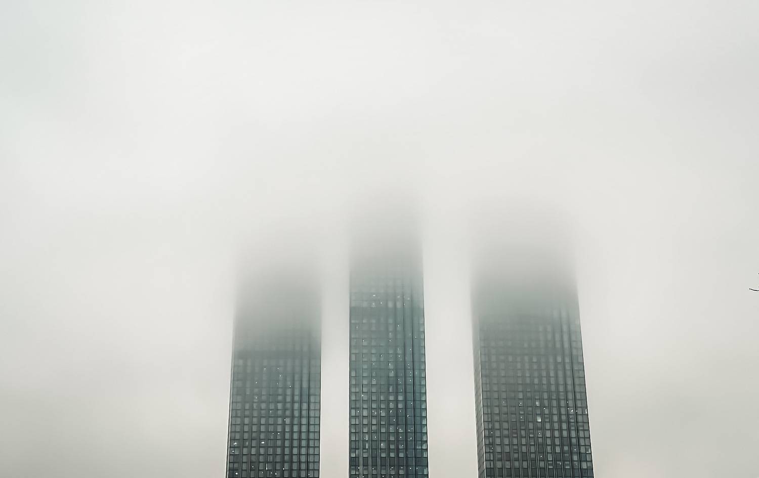 , Dmitry V. Petrenko