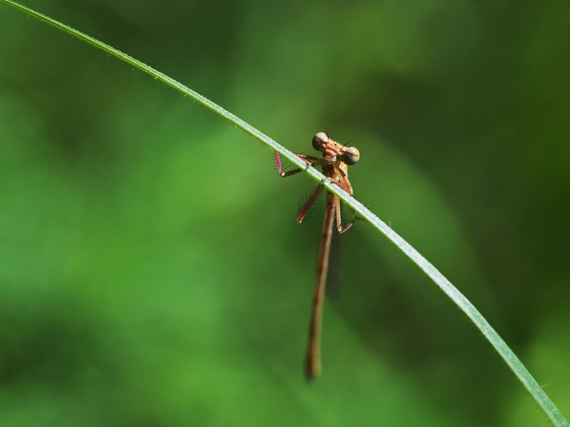 2023 фото превью