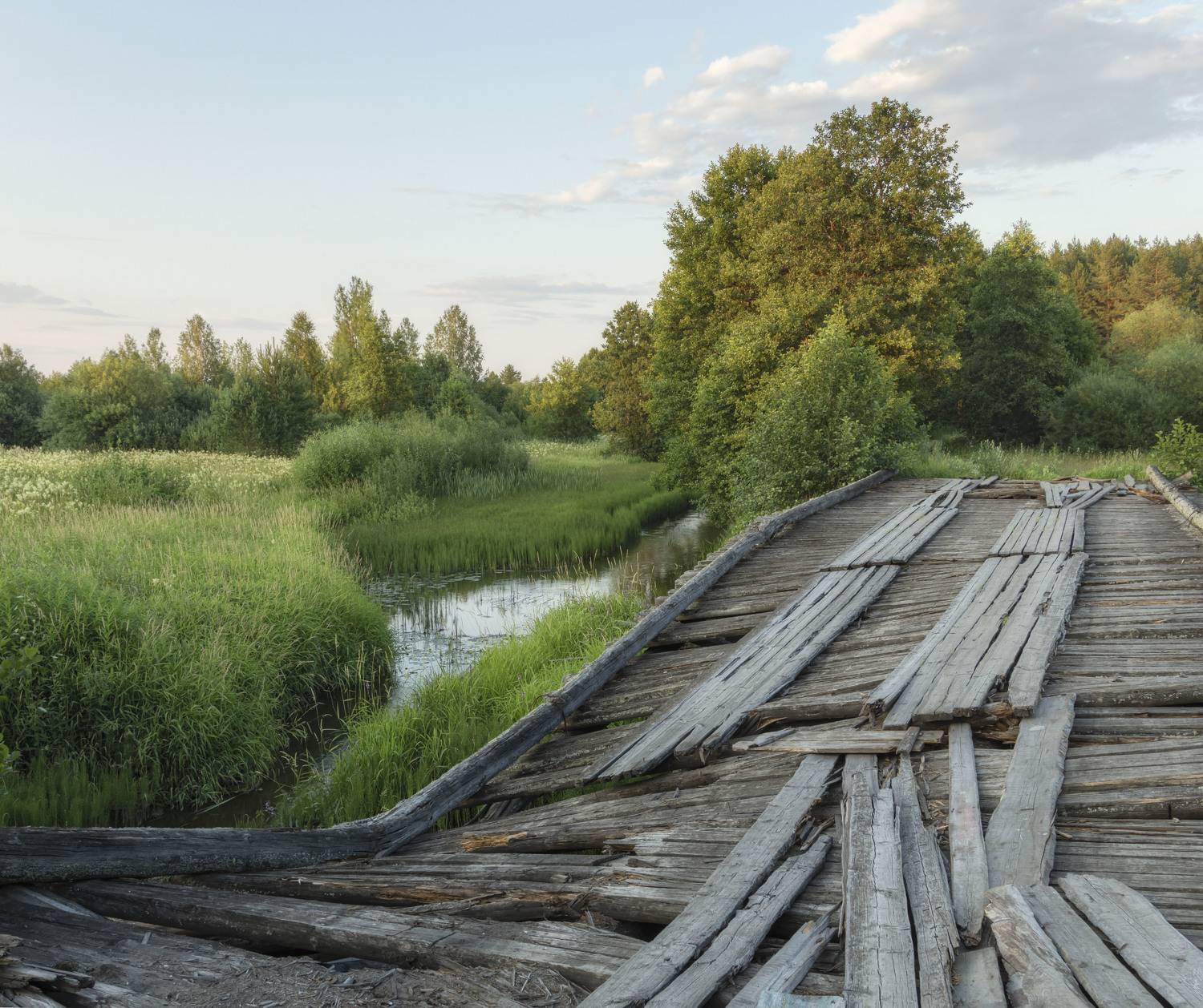 мост, Olga Bonina