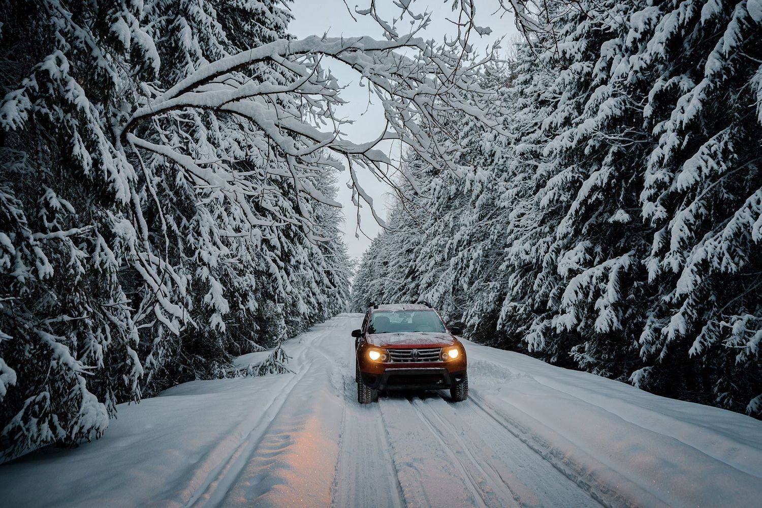 , Владимир Ноздрачев