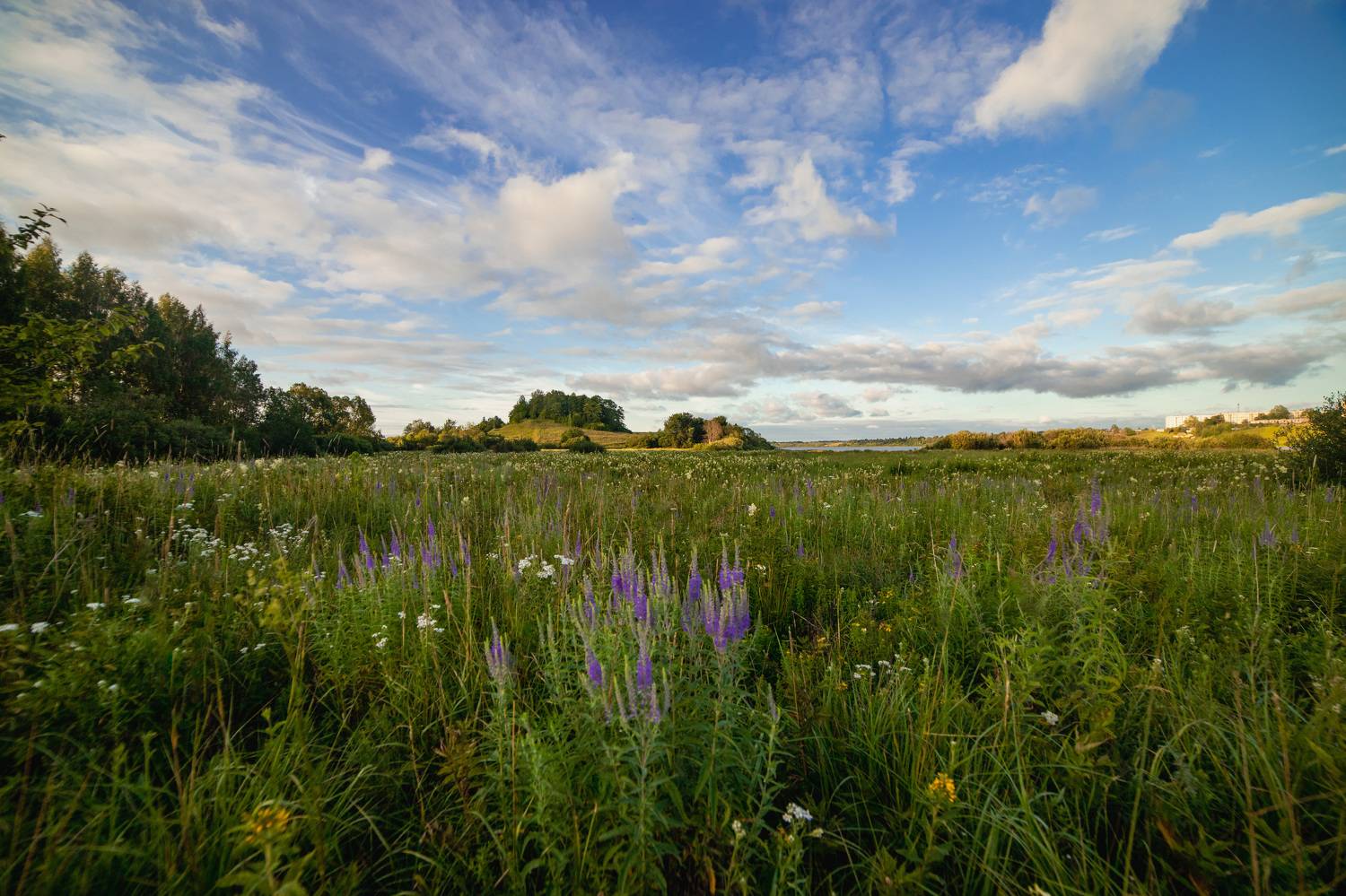, Герасимова Елена