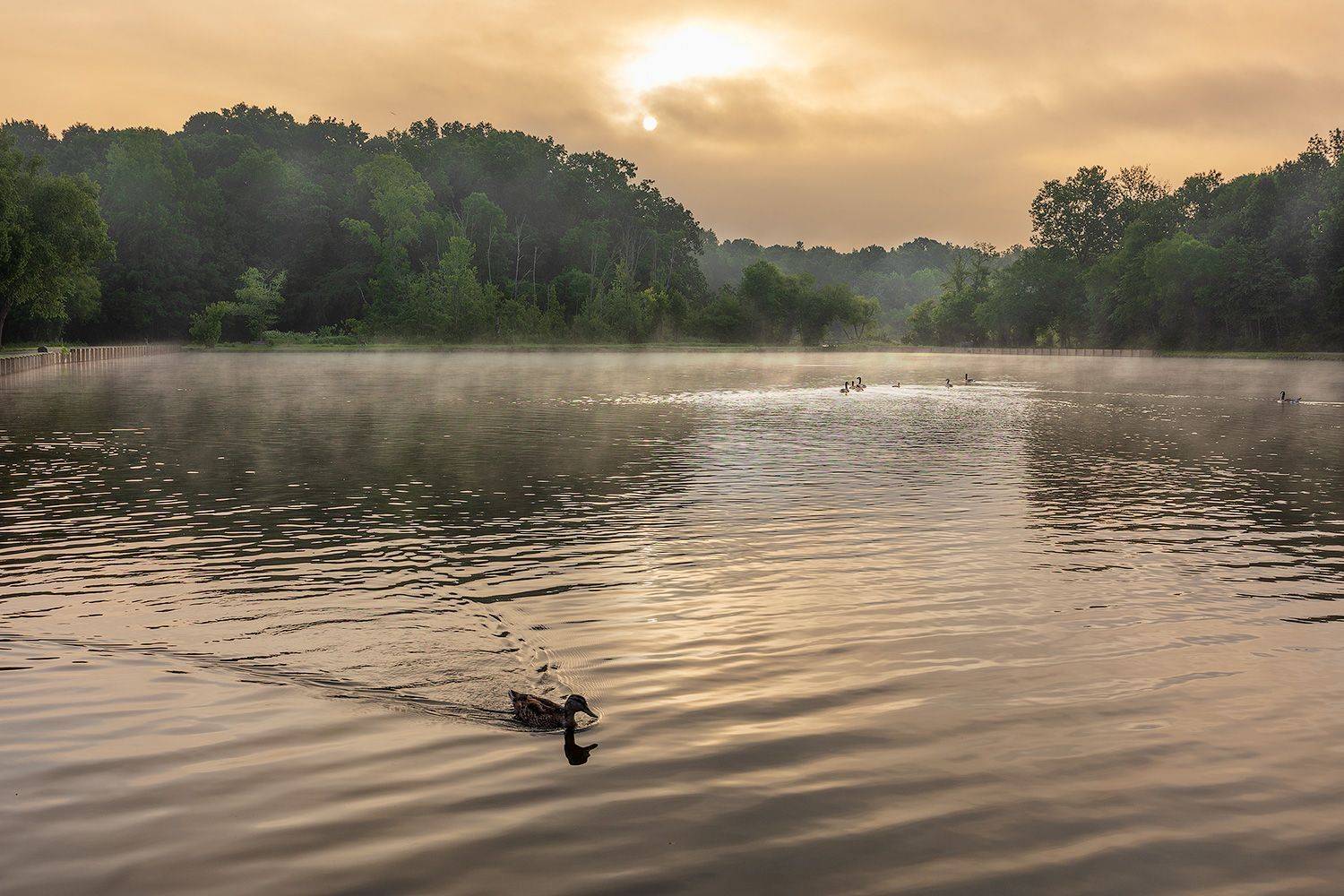 , Леонид Дьяченко