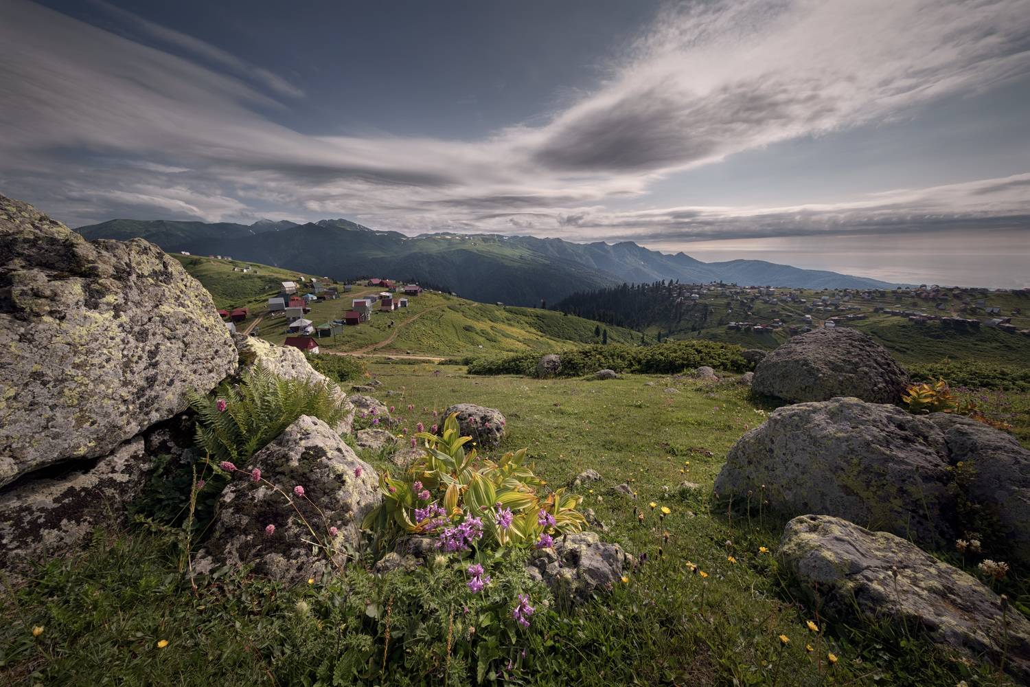 gomismta, mountain, meadow, clouds, sky, grass, rocks, flowers, light, high, nature, landscape, scenery, travel, outdoors, georgia, guria, sakartvelo, chizh, Чиж Андрей