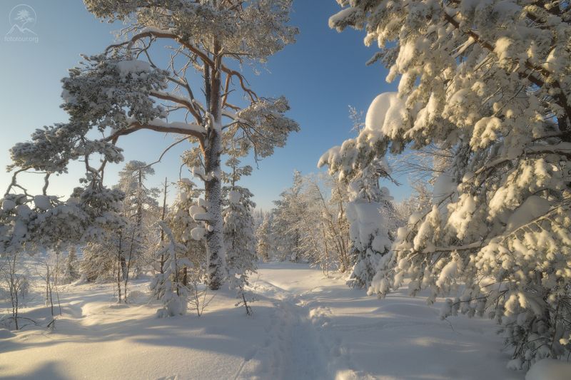 Хороша зима летом ) фото превью