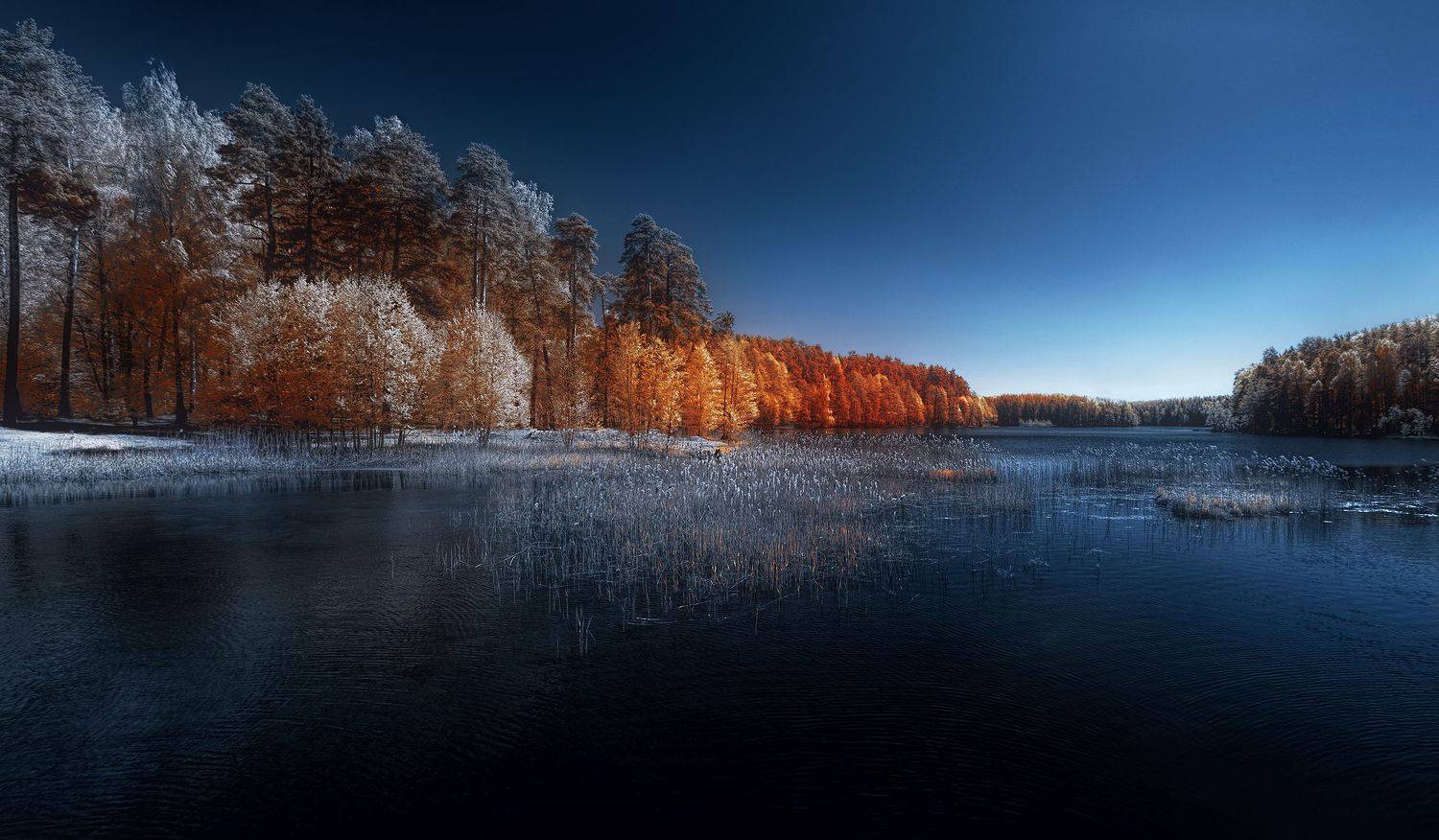 infrared,ик-фото,инфракрасное фото, инфракрасная фотография, пейзаж, весна,  Sixten (Сергей)