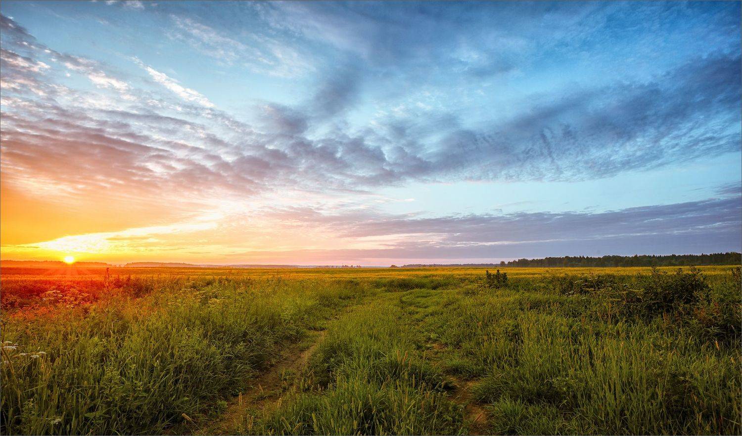 лето, вечер, деревня, свет, цвет, александр никитинский, Никитинский Александр
