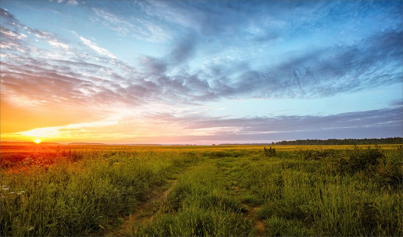 лето, вечер, деревня, свет, цвет, александр никитинский Летний вечер в деревне... фото превью
