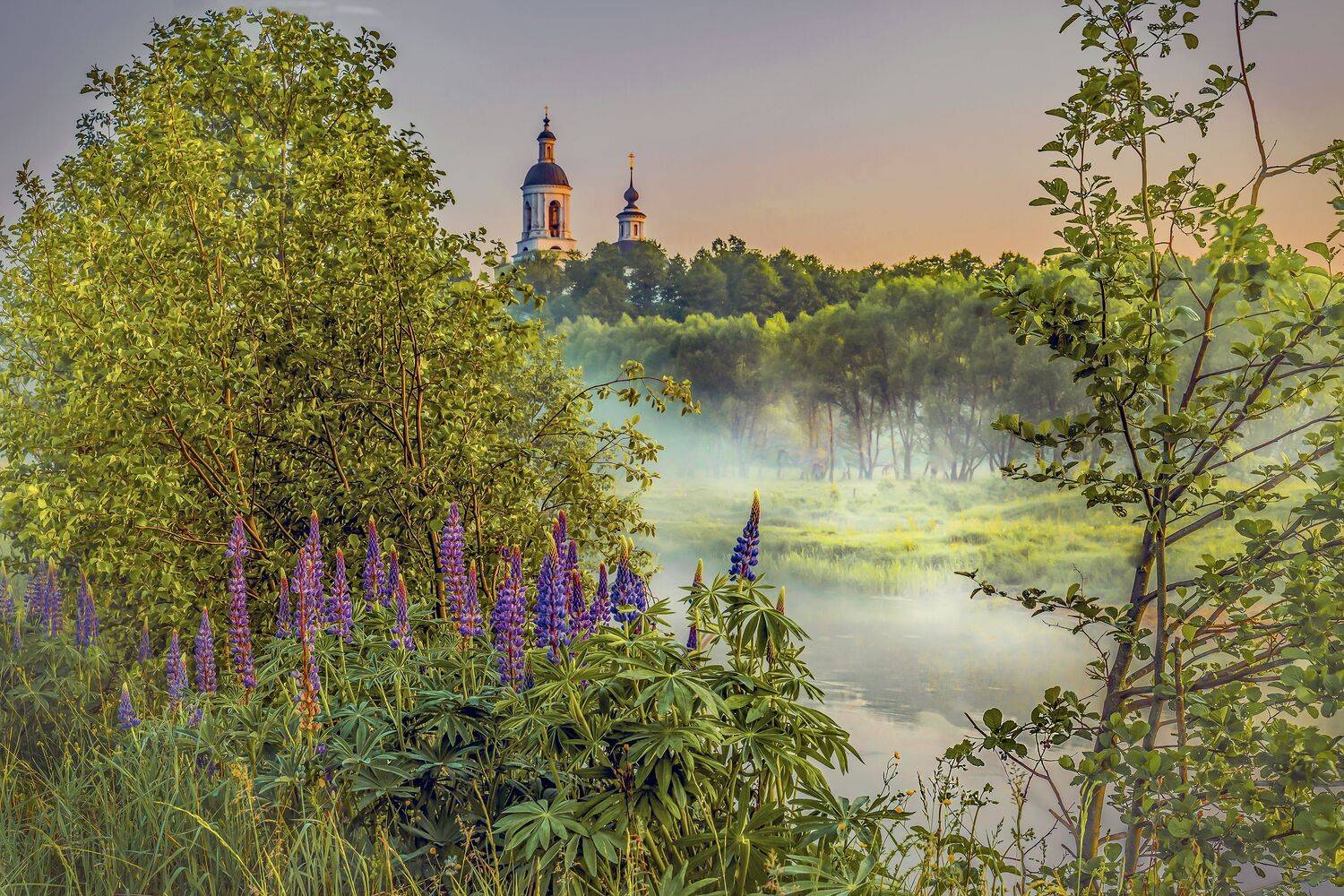 филипповское..., Бирюков Вячеслав