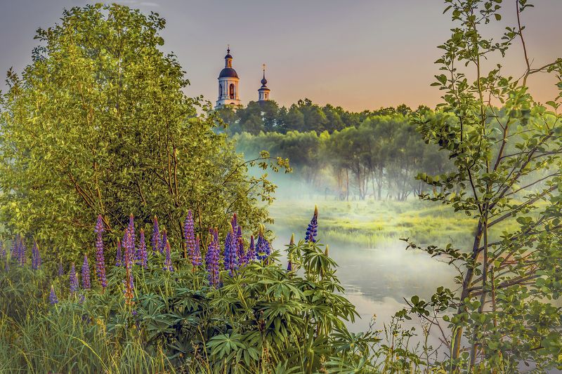 Рано утром. фото превью
