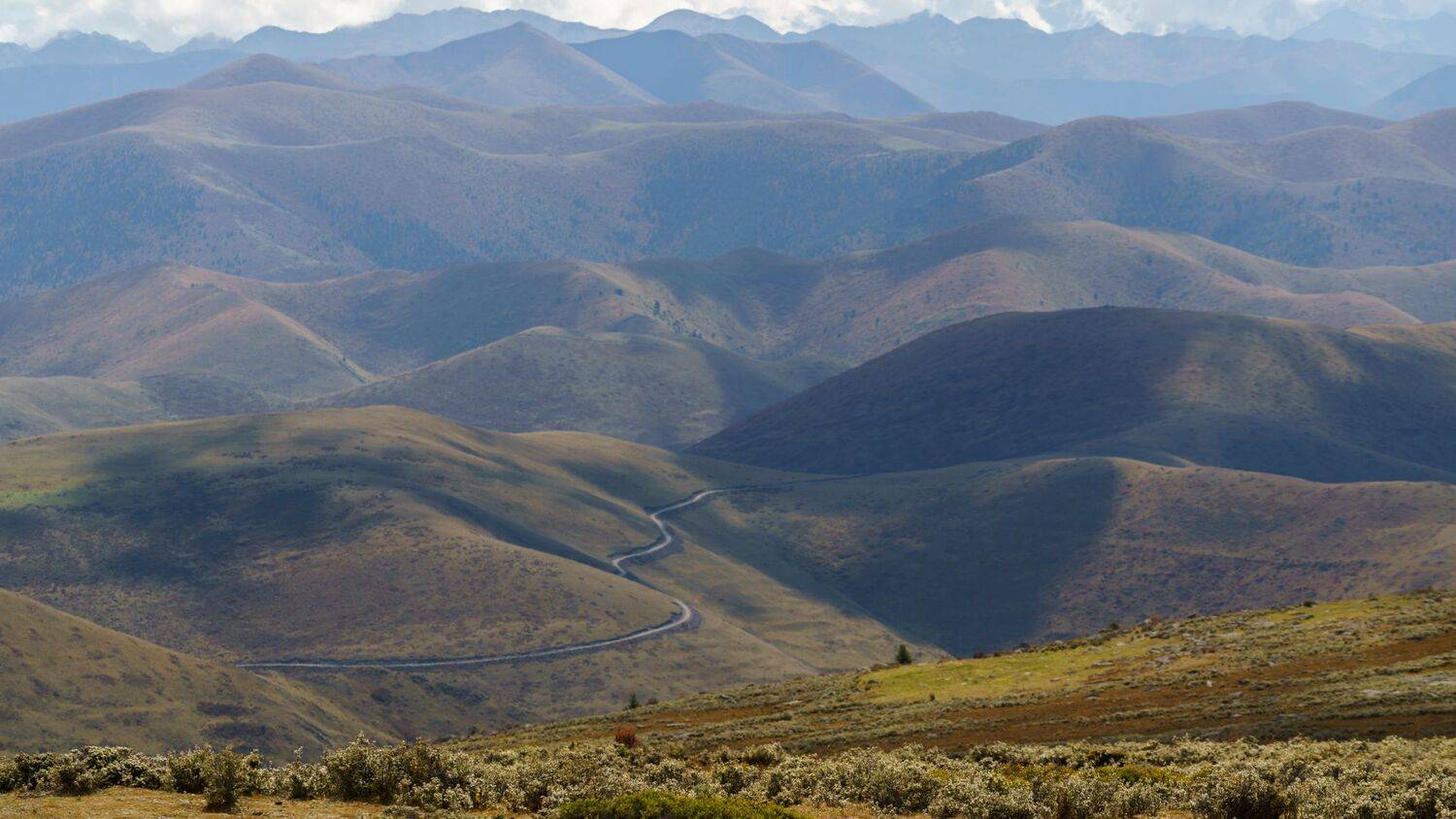 high hills, mountain valley, asphalt road, grey snake road, tall mountains, white snow mountains, green hills, blueish fog, foggy valley, rare bushes, scenic landscape, mountainous terrain, serpentine road, misty valley, breathtaking view, Druz Denys
