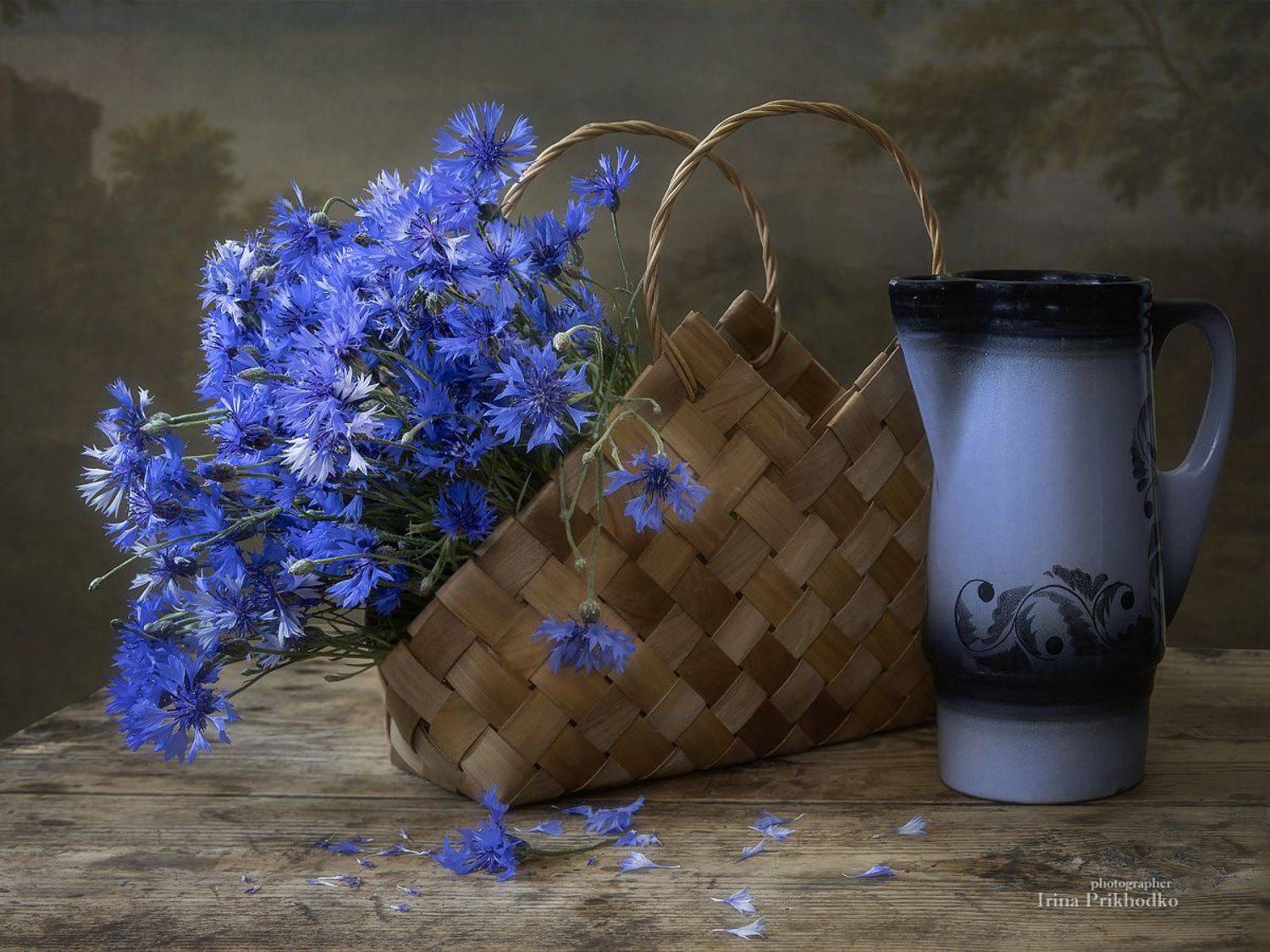 натюрморт, цветы, букеты, васильки, лето, Приходько Ирина