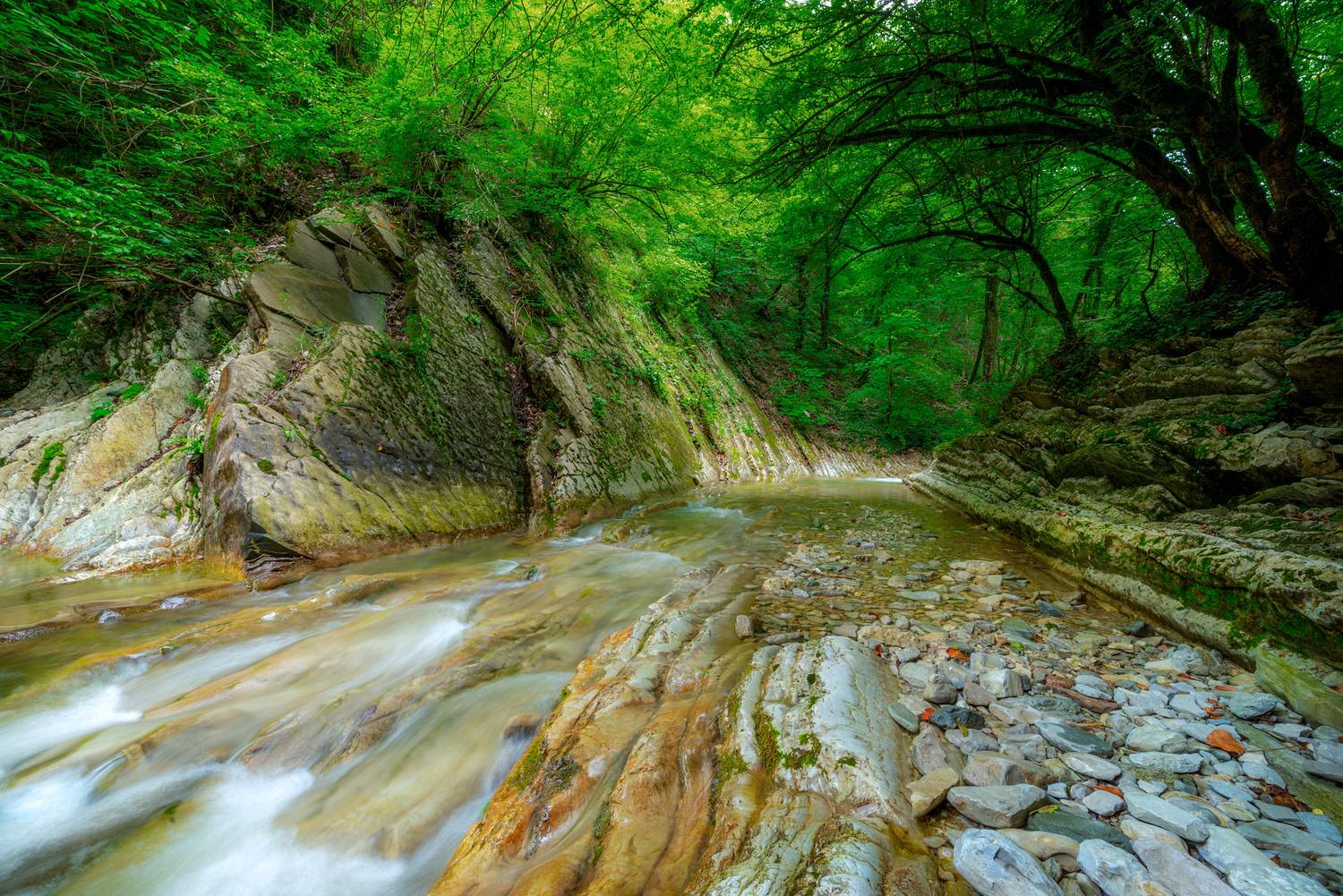 , Сергей Тихомиров