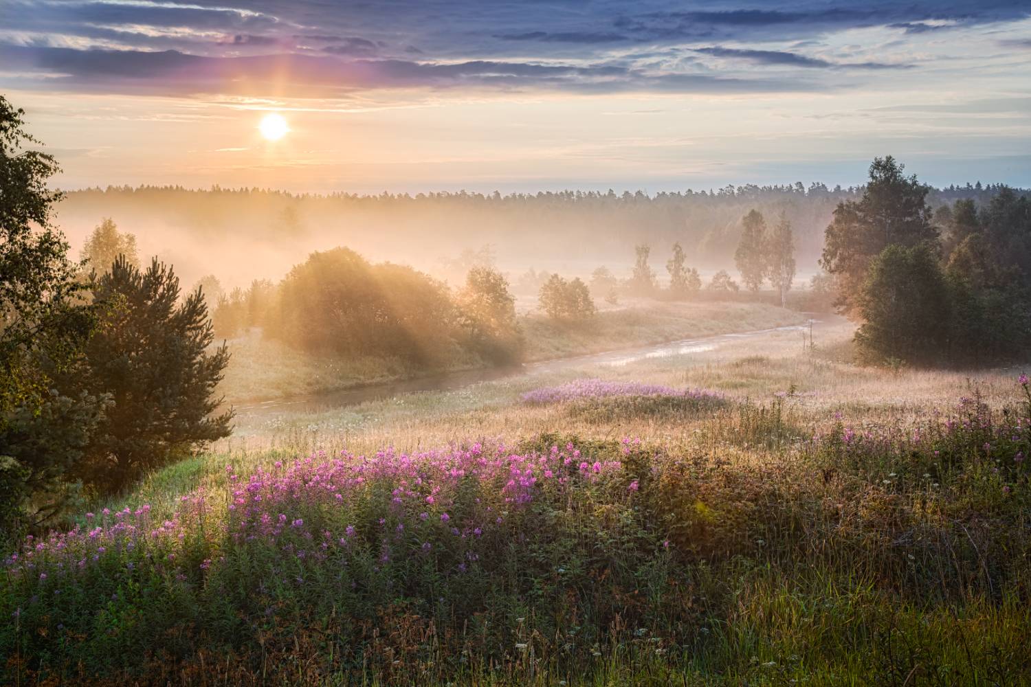 , Евгений Ерохин