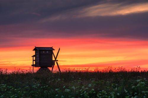 #вкимжевсегдахорошо