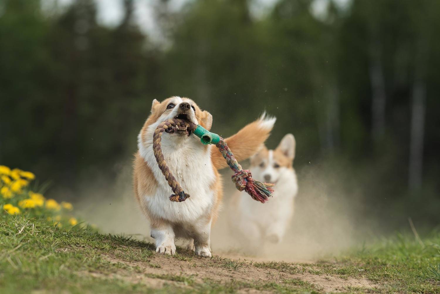 , Ирина Мороз