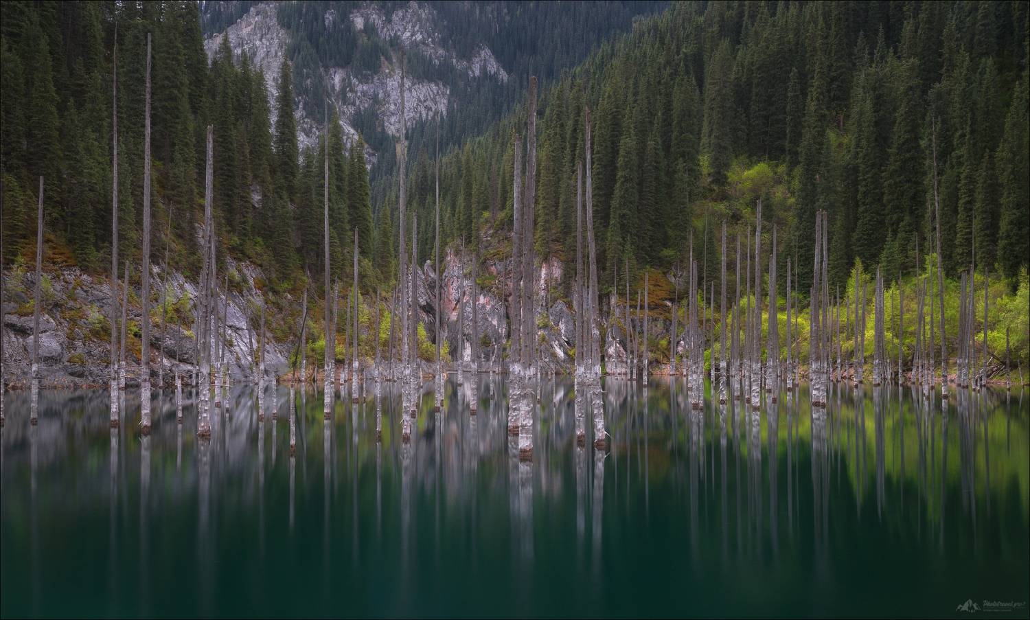 казахстан, мертвый лес, озеро каинды, кайынды, кунгей алатау, пейзажи казахстана, фототур в казахстан,, Влад Соколовский