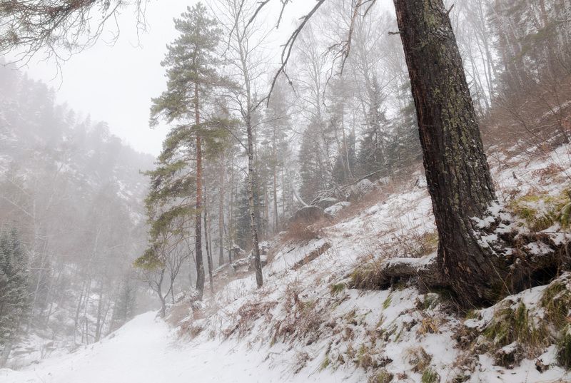 Алтай фото превью