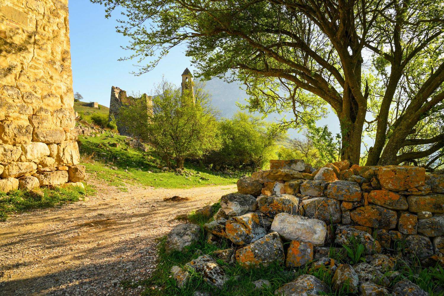 , Лесина Елена