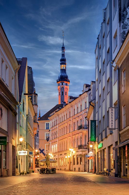 Таллинская ратуша фото превью